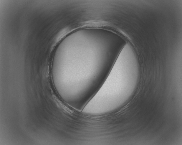 X0000081461459200701121028