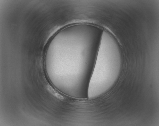X0000081461460200701121028
