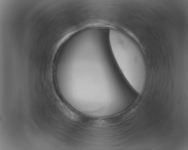 X0000081461463200701121028