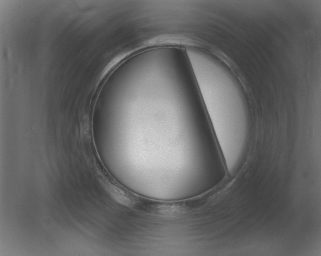 X0000081461465200701121028