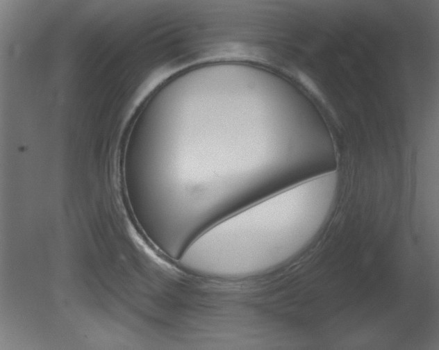 X0000081461468200701121028