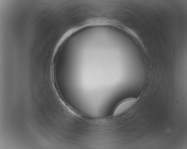 X0000081461472200701121028