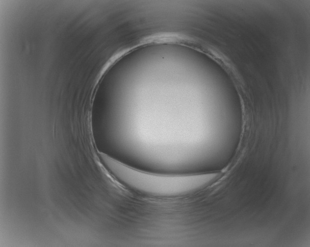 X0000081461473200701121028