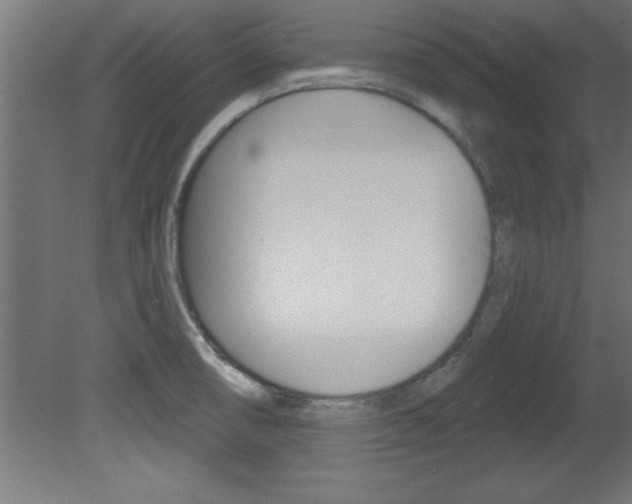 X0000081461474200701121028