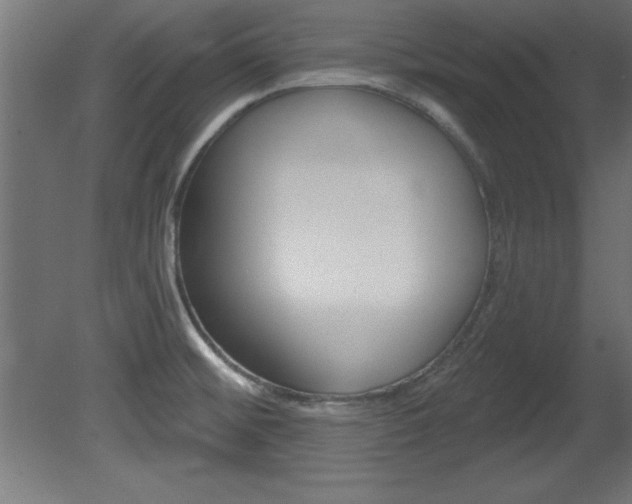 X0000081461476200701121028