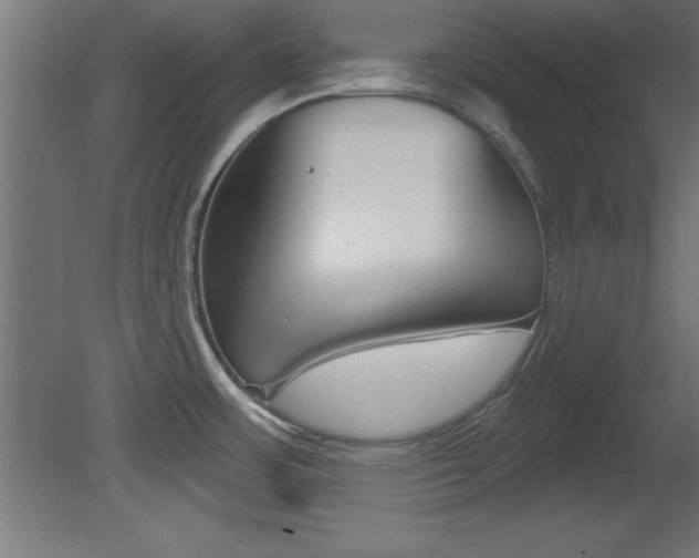X0000081461483200701121028