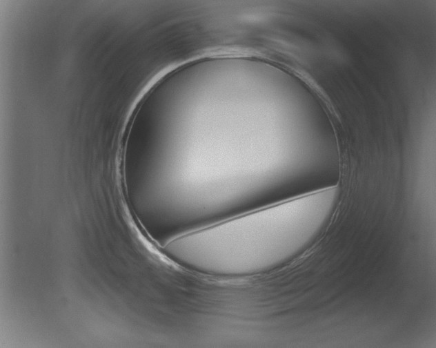 X0000081461484200701121028