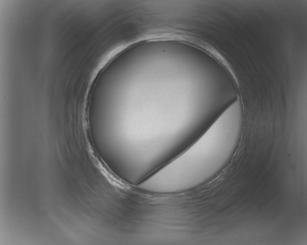 X0000081461485200701121028