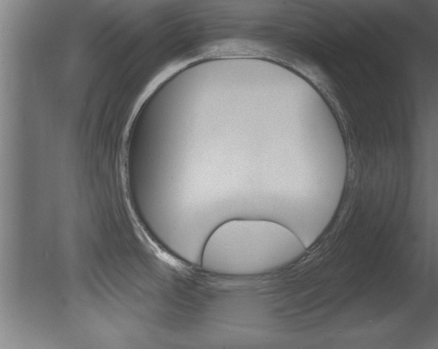 X0000081461486200701121028