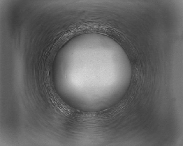 X0000081461489200701121027
