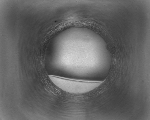 X0000081461490200701121027