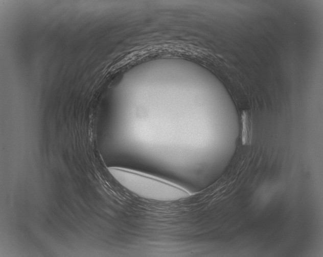 X0000081461491200701121027