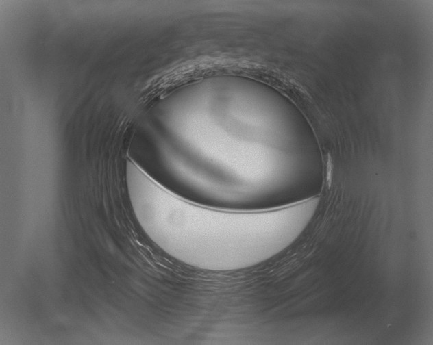 X0000081461492200701121027