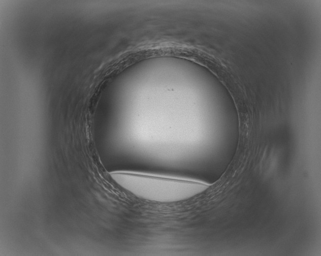 X0000081461493200701121027
