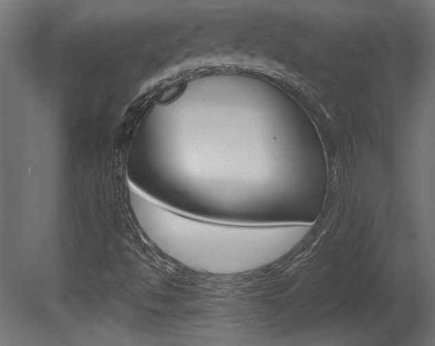 X0000081461494200701121027