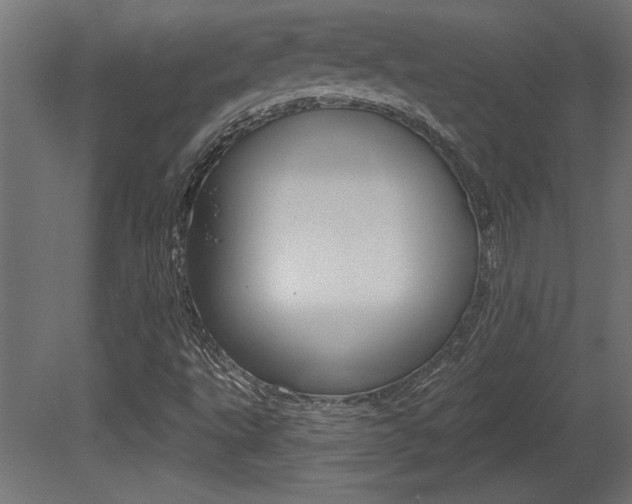 X0000081461495200701121027