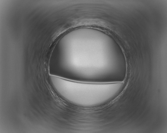 X0000081461497200701121027