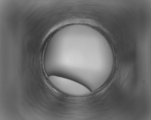 X0000081461498200701121027