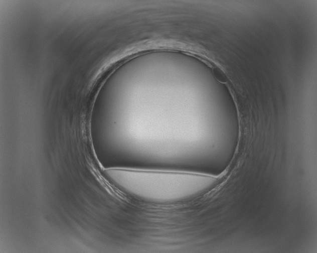X0000081461499200701121027