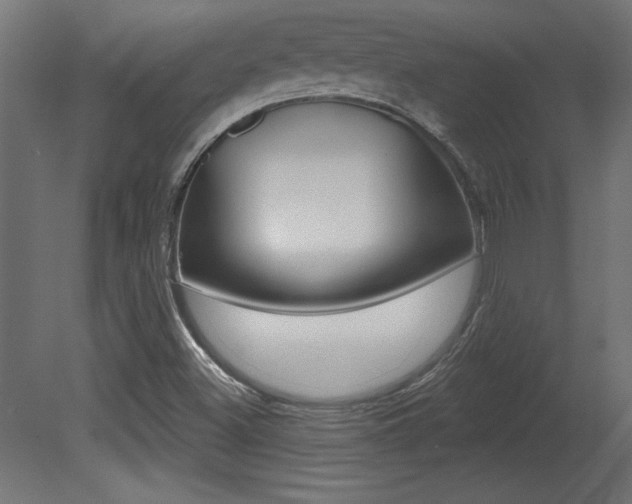 X0000081461500200701121027