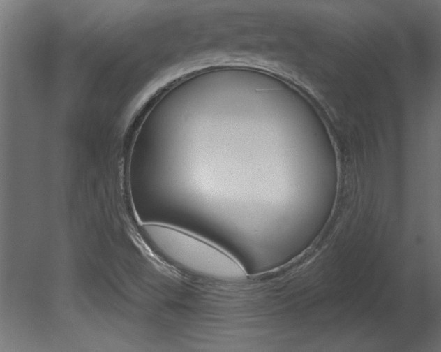 X0000081461503200701121027