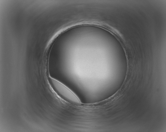 X0000081461504200701121027