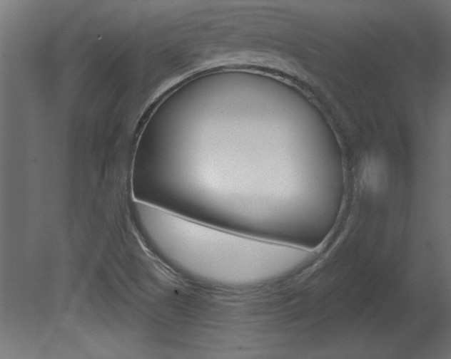 X0000081461505200701121027