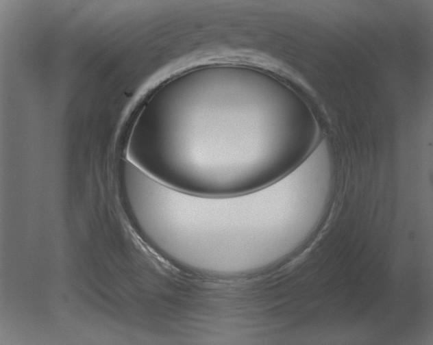 X0000081461506200701121027
