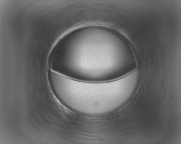 X0000081461508200701121027
