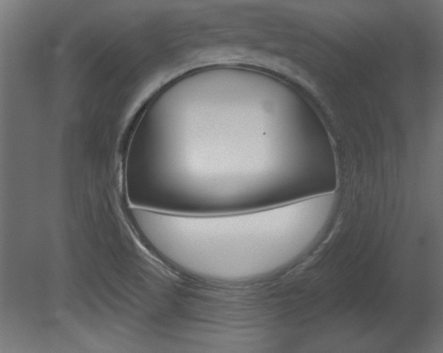 X0000081461509200701121027