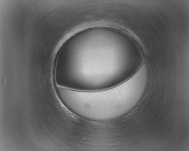 X0000081461512200701121027