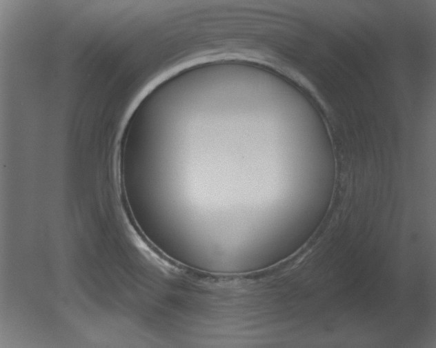 X0000081461516200701121027