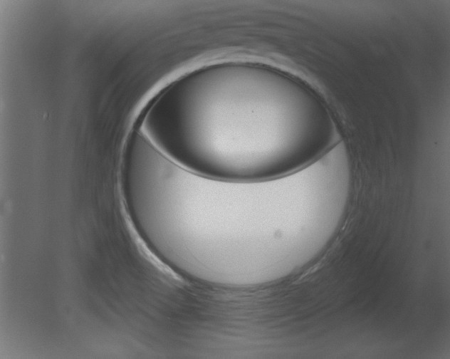 X0000081461518200701121027