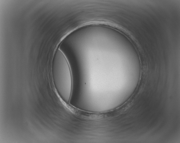 X0000081461521200701121027