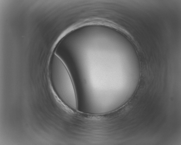 X0000081461522200701121028