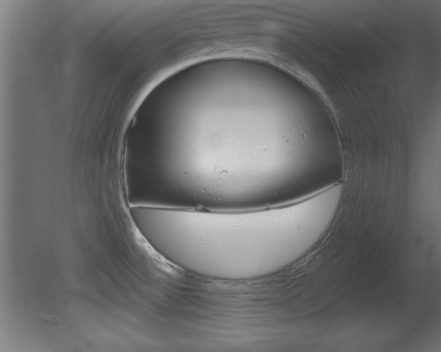 X0000081461532200701121028