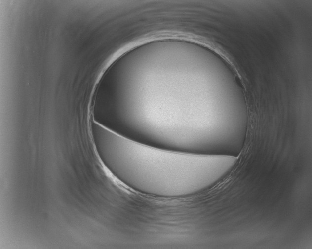 X0000081461535200701121028