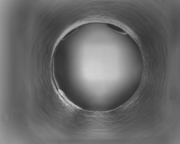 X0000081461536200701121028