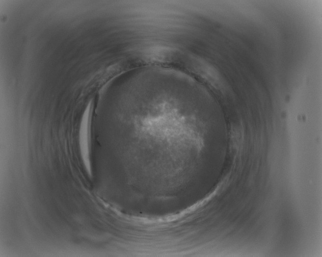 X0000081460029200701121309