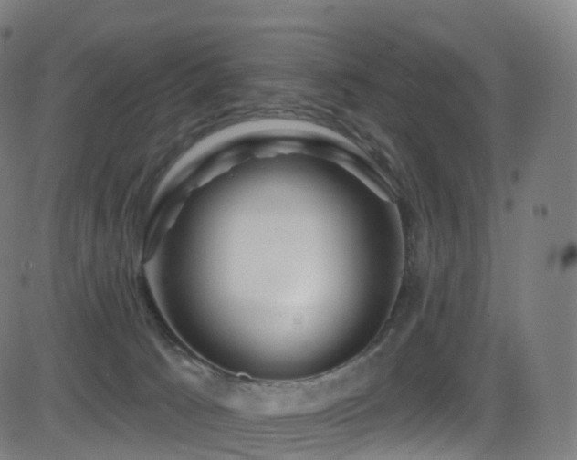 X0000081460033200701121309