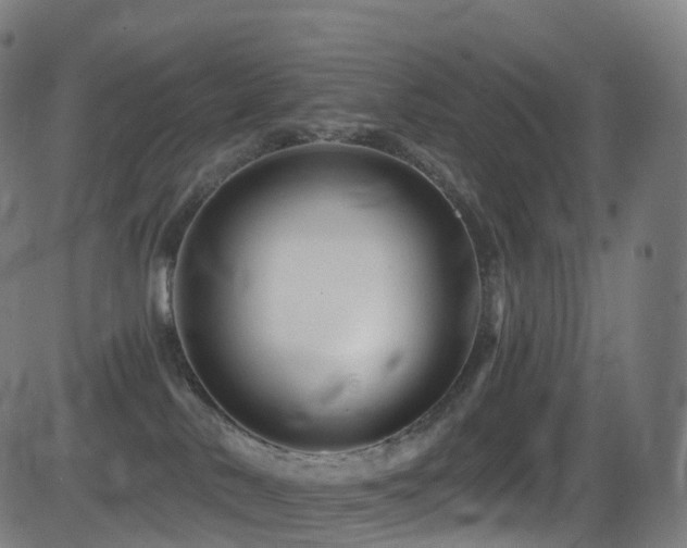 X0000081460042200701121308