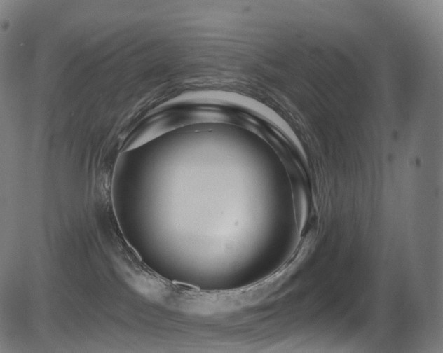 X0000081460045200701121308