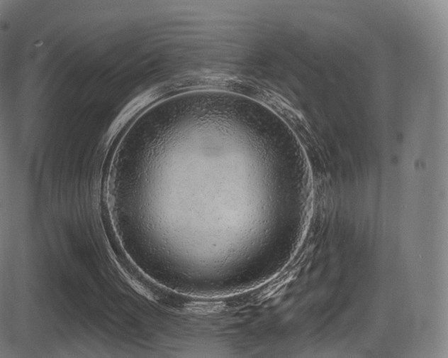 X0000081460051200701121308