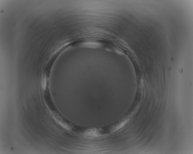 X0000081460076200701121308