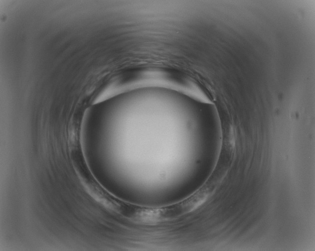 X0000081460084200701121308