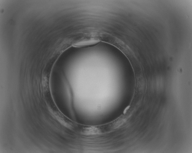 X0000081460087200701121308