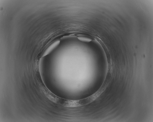 X0000081460093200701121308