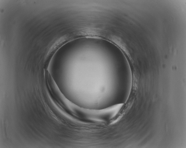 X0000081460109200701121307