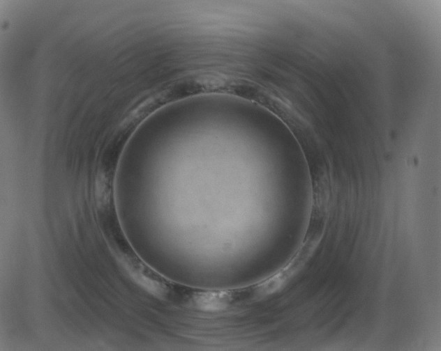 X0000081460136200701121307