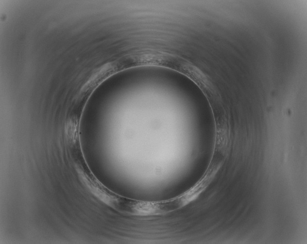 X0000081460142200701121307